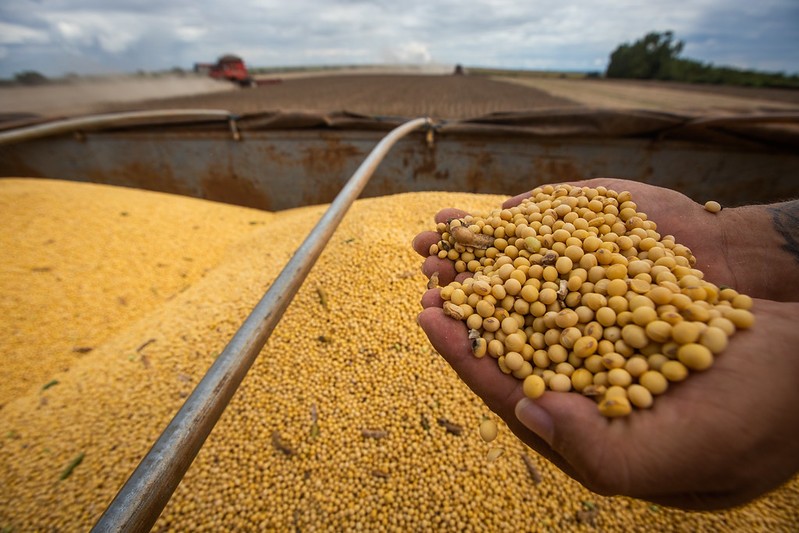 Mato Grosso aprova lei contra Moratória da Soja