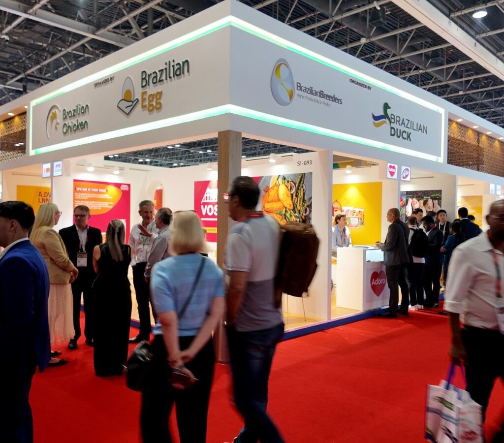Indústria de aves e ovos projeta US$ 1,4 bilhão em negócios após feira em Dubai