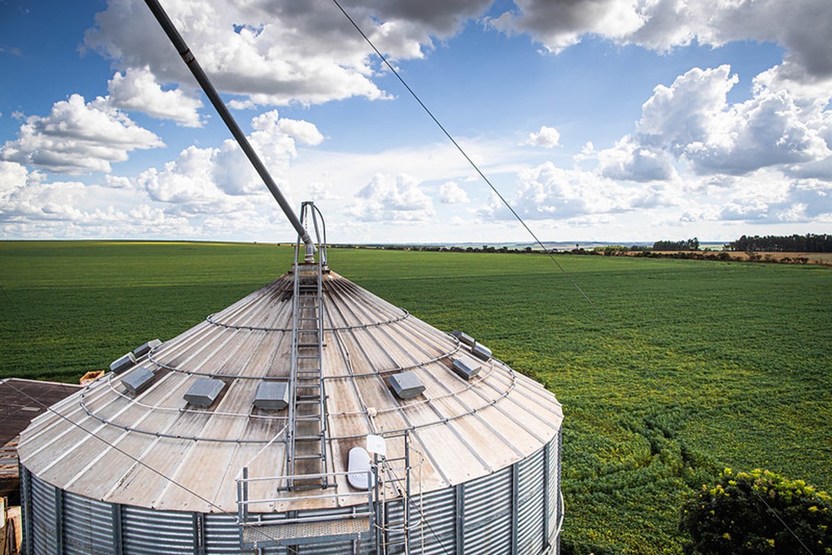 Agronorte quer construir armazéns próprios
