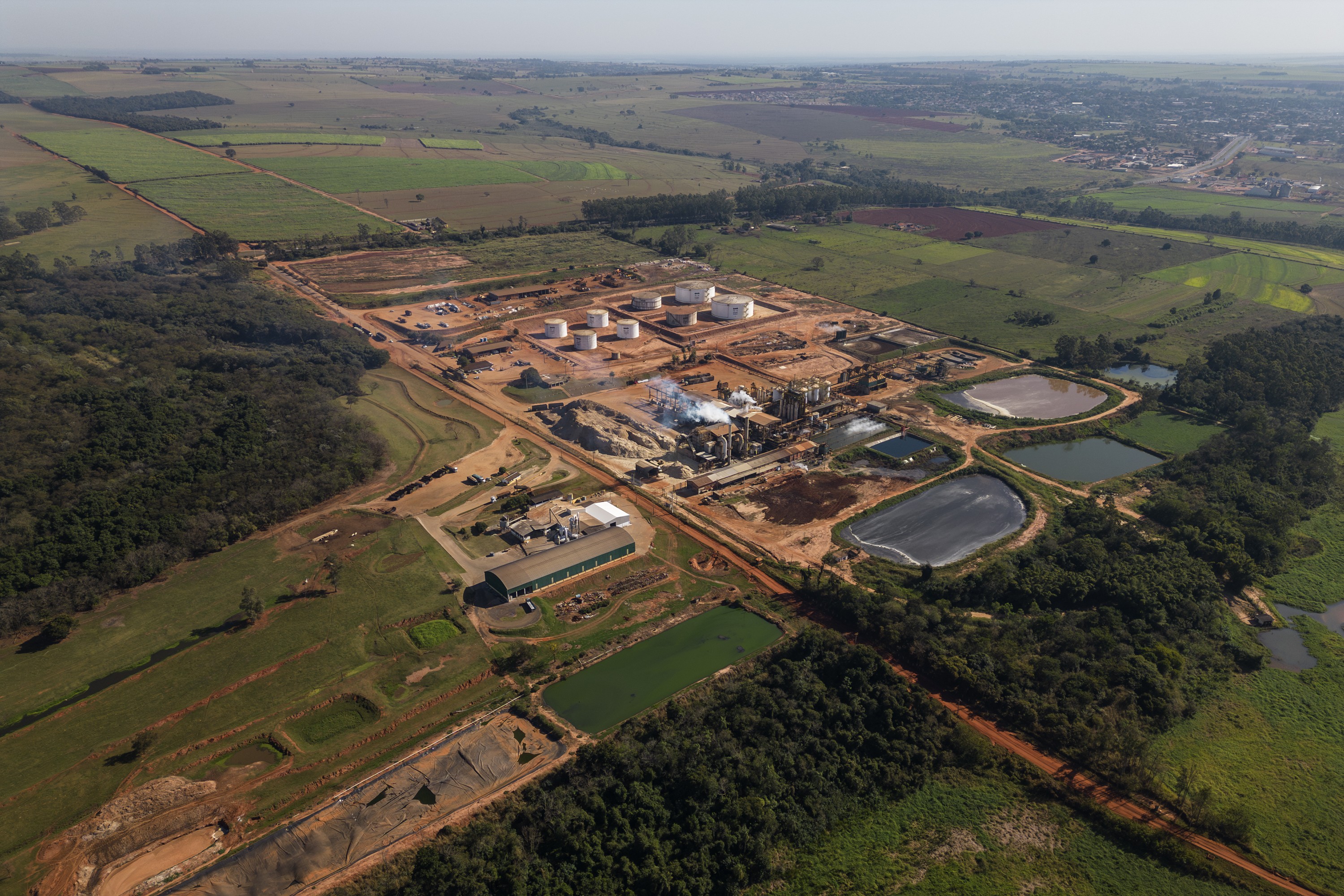 Aos 100 anos, usina do Paraná quer investir em etanol de milho e biometano