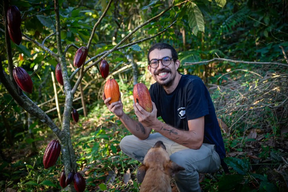 Frederico Pauleta: produção de cacau fica em torno de 600 a 700 quilos por ano — Foto: Cacau da Ilha/Divulgação