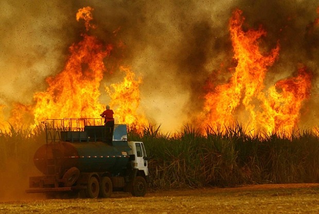 Incêndios já causaram prejuízo de R$ 1,2 bilhão aos produtores de cana de SP