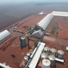 A moagem total da companhia teve alta de 1,9% no período, totalizando 4,4 milhões de toneladas - Divulgação/CerradinhoBio