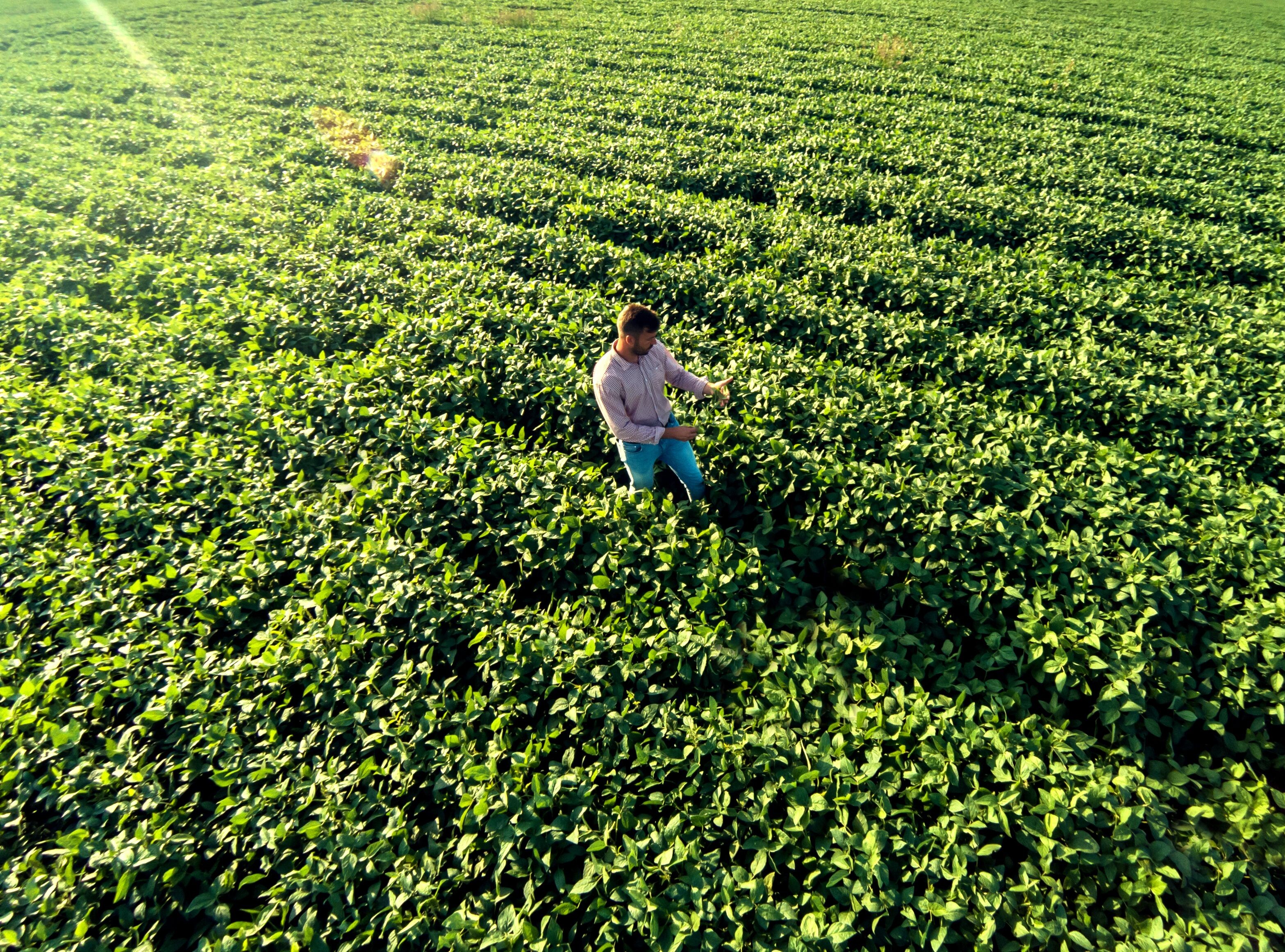 El Niño provoca efeitos diferentes no campo; ouça o comentário