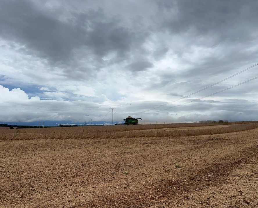 Colheita de soja em lavoura de Cascavel (PR). Cotações sem tendência definida no interior do Brasil
