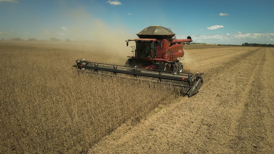 Possíveis efeitos do fenômeno climático El Niño levaram parte dos produtores brasileiros a se retrair nas negociações no mercado spot, diz Cepea