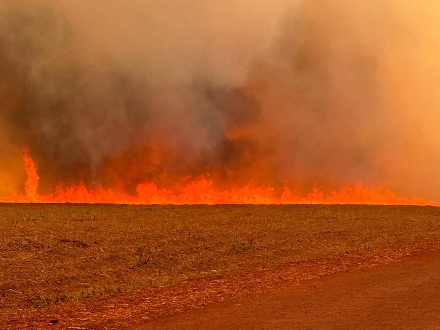 Cerca de 30 cidades estão com alerta máximo para grandes queimadas e com focos ativos de incêndio