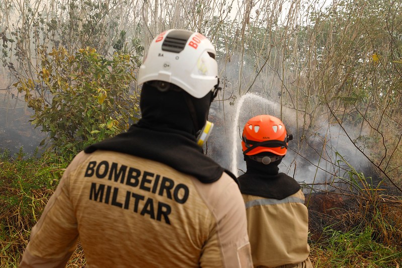 Operação contra queimadas ilegais no Amazonas já prendeu 186 pessoas este ano