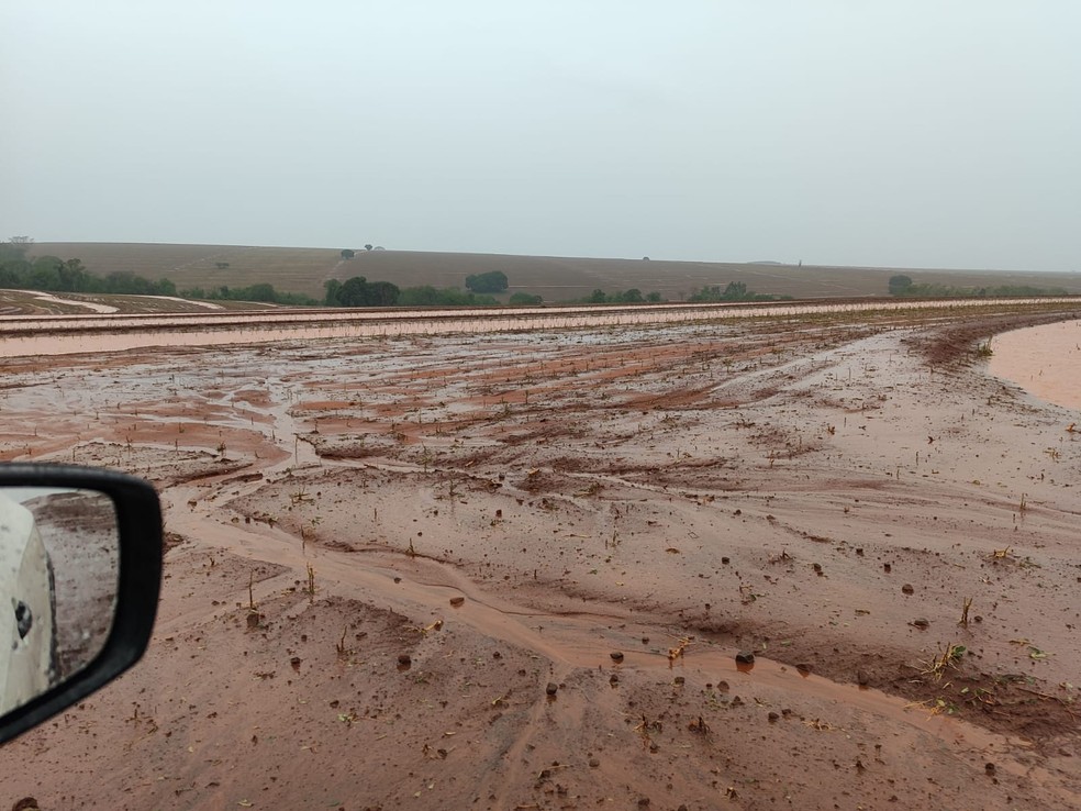 Chuva forte danificou lavouras no Paraná — Foto: Faep