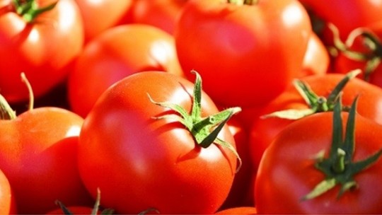Entrada de produto pressiona e preço do tomate cai no atacado