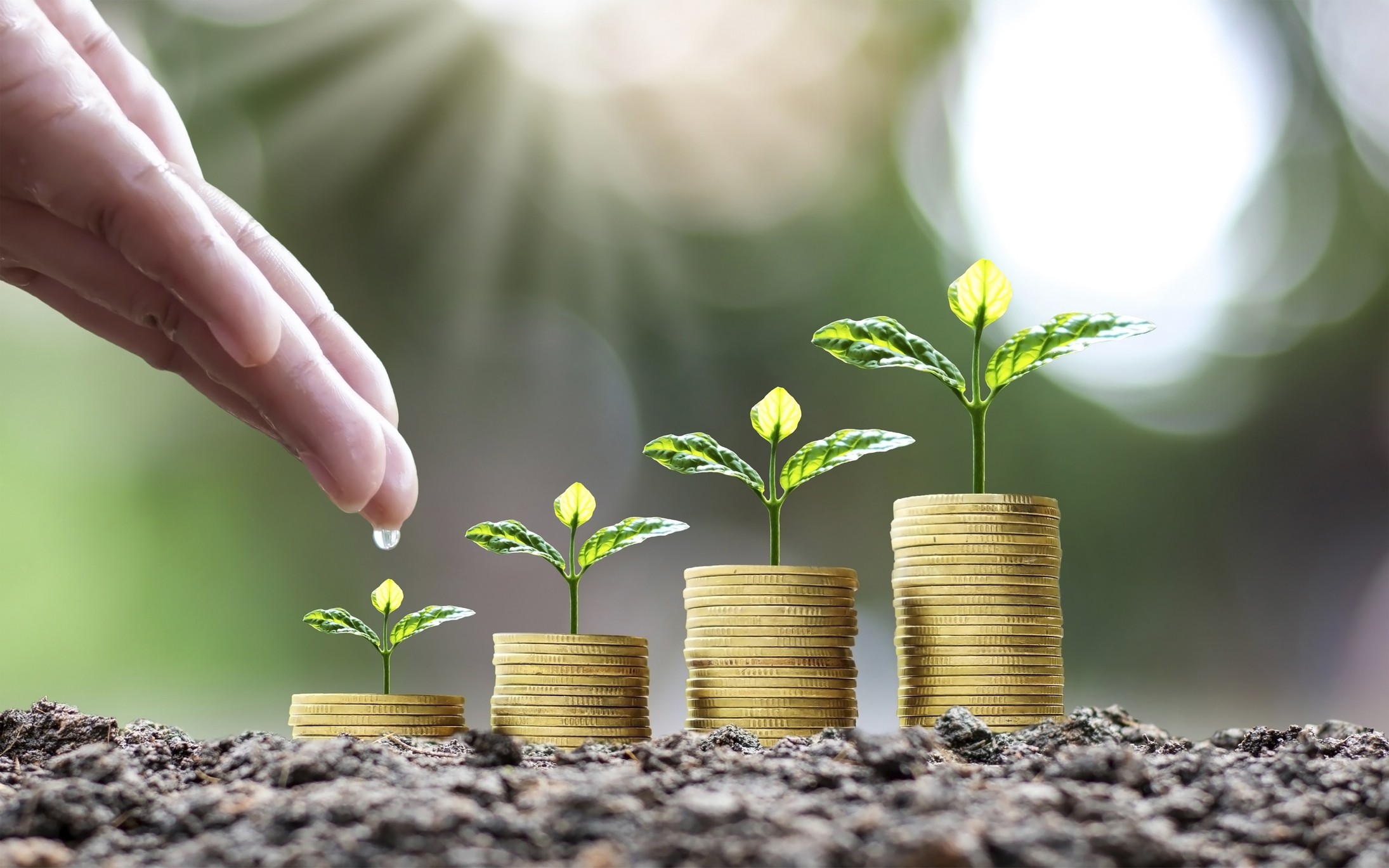 Asset Bank lança Fiagro para até R$ 200 milhões