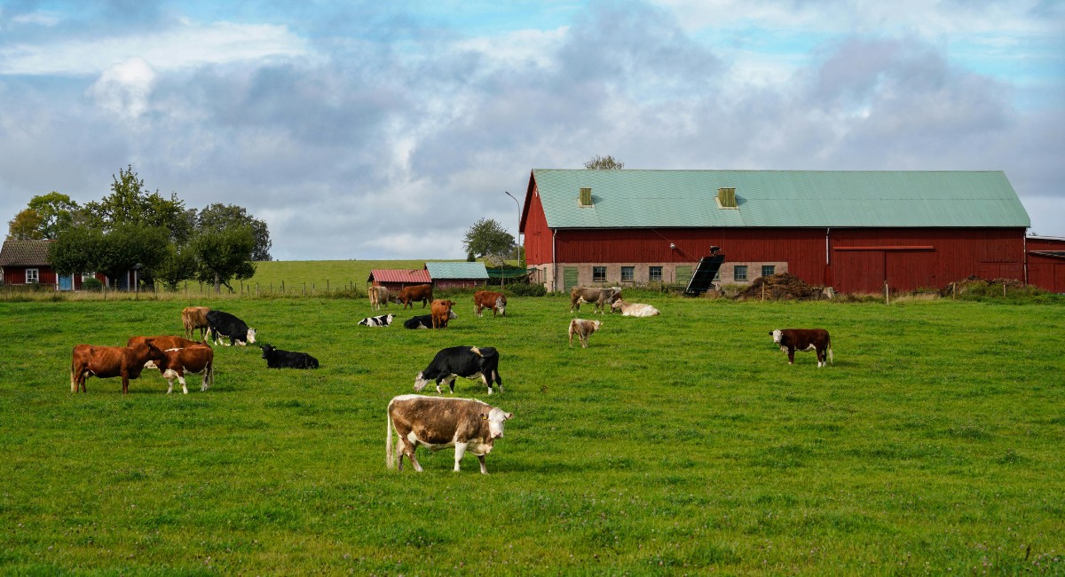 Oferta de US$ 15 milhões não convence produtor a vender fazenda para data center