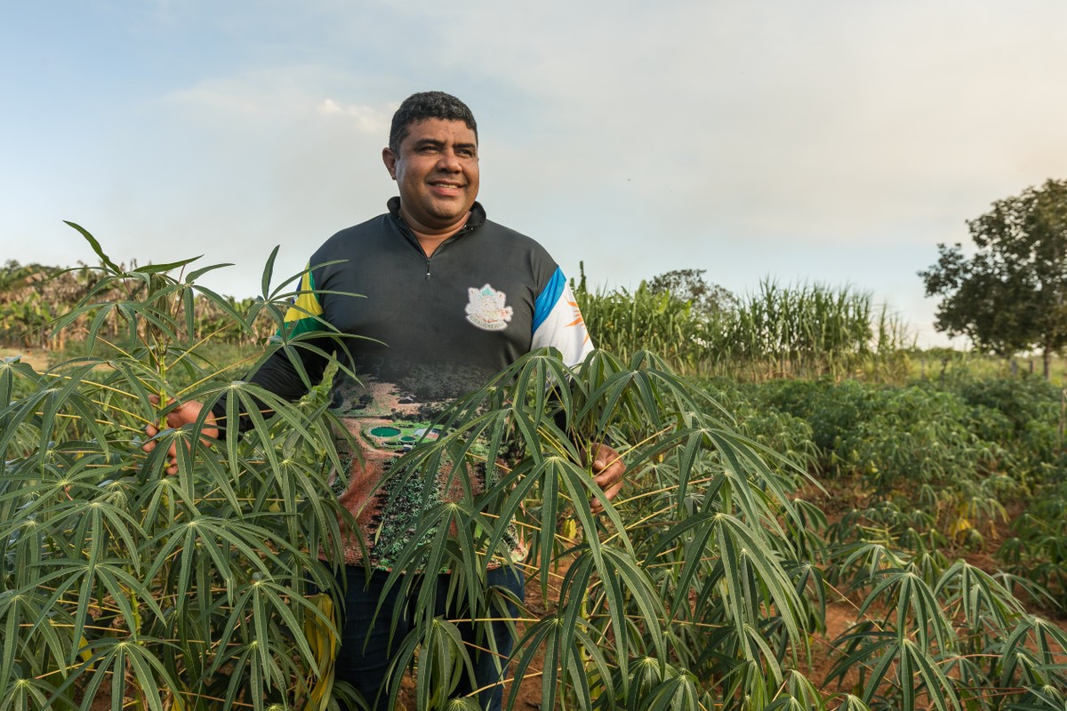 Indígenas ampliam produção de alimentos com venda ao governo