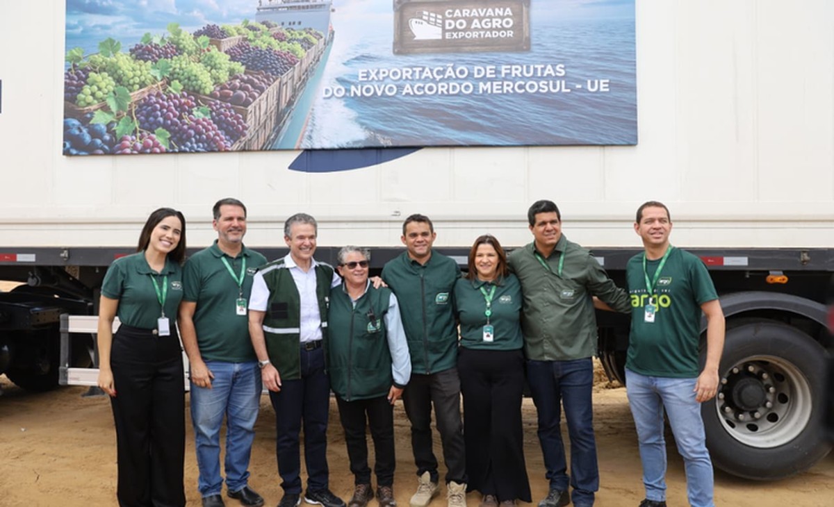 Brasil faz primeira exportação de uvas para a União Europeia com tarifa zero