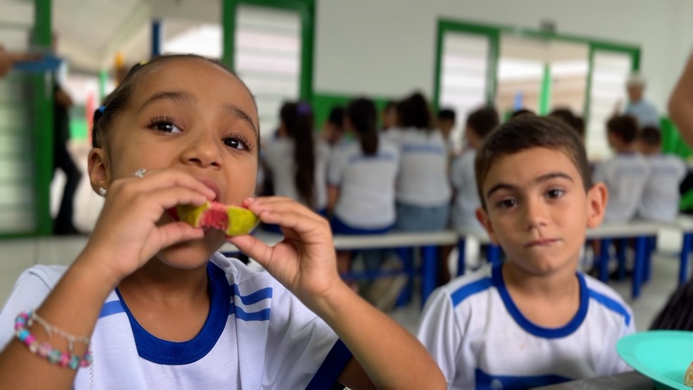 As goiabas são ofertadas às escolas da região como parte da merenda infantil — Foto: Emater-MG