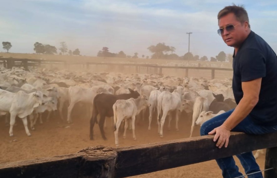 Leonardo possui mais de 5 mil cabeças de gado — Foto: Instagram/ Reprodução