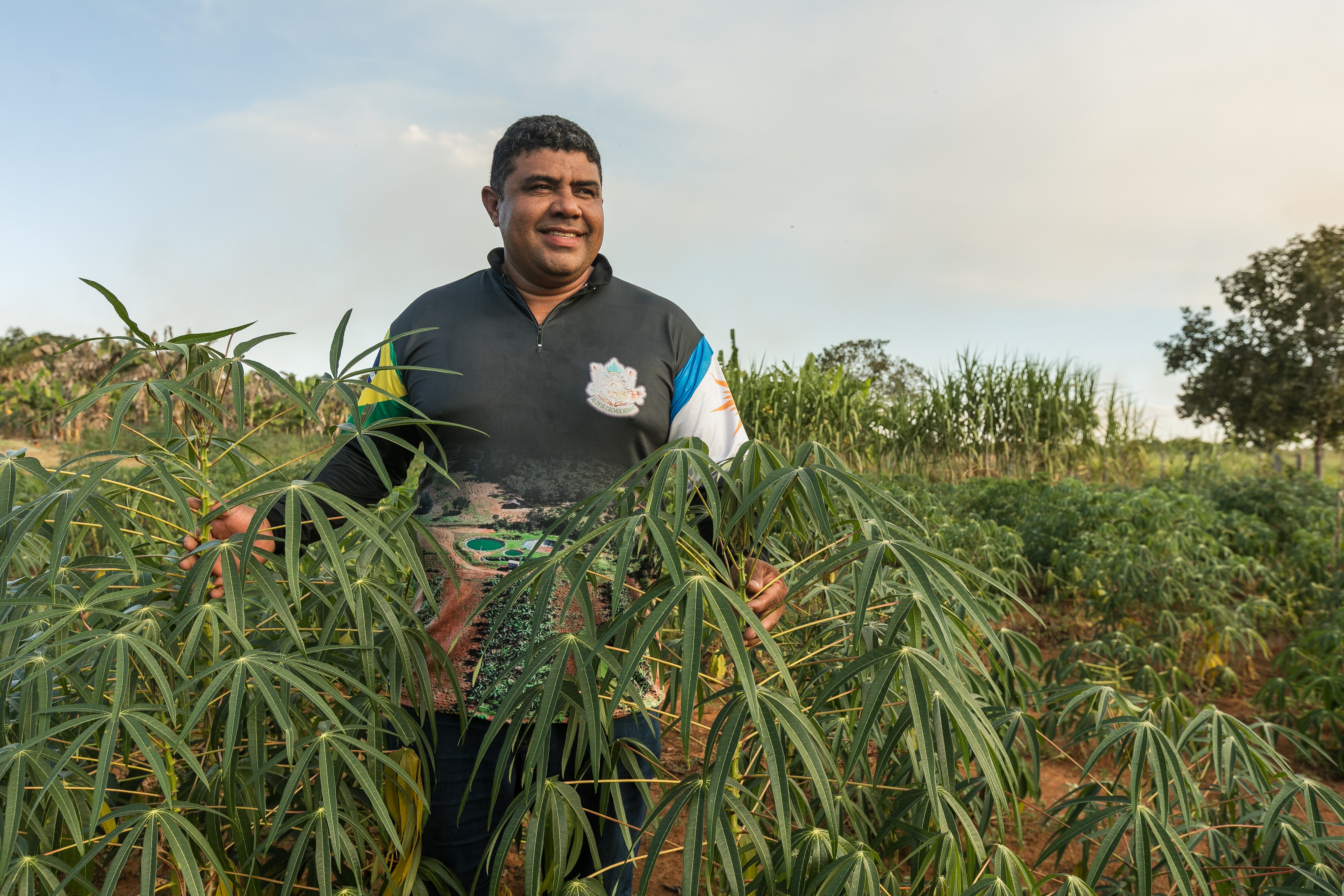 Indígenas ampliam produção de alimentos com venda ao governo