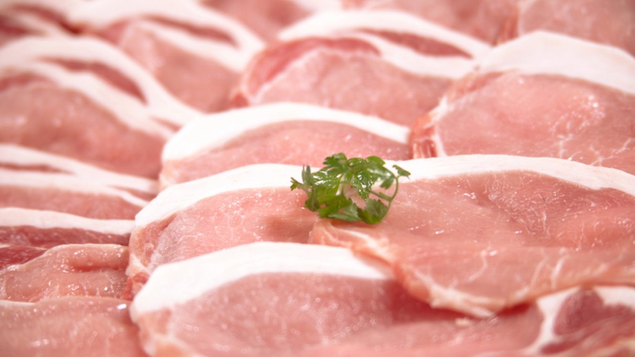SC foi responsável por 55,4% da quantidade e 54,5% das receitas das exportações brasileiras de carne suína em março