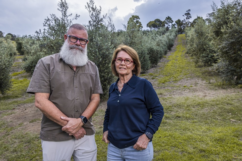 Bob Costa e Bia Pereira, fundadores do Azeite Sabiá — Foto: Mario Rodrigues Jr.