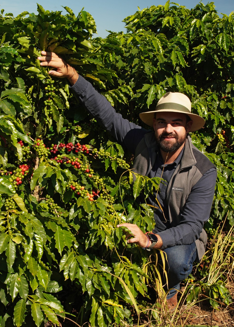 Juliano Lourenço aproveitou o solo em que cultiva café, na Serra da Mantiqueira, para também plantar uvas para a produção de vinho — Foto: Thiago de Jesus