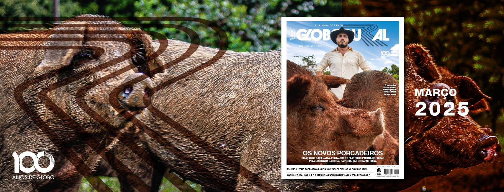 'Os novos porcadeiros' estão em destaque na Globo Rural de março
