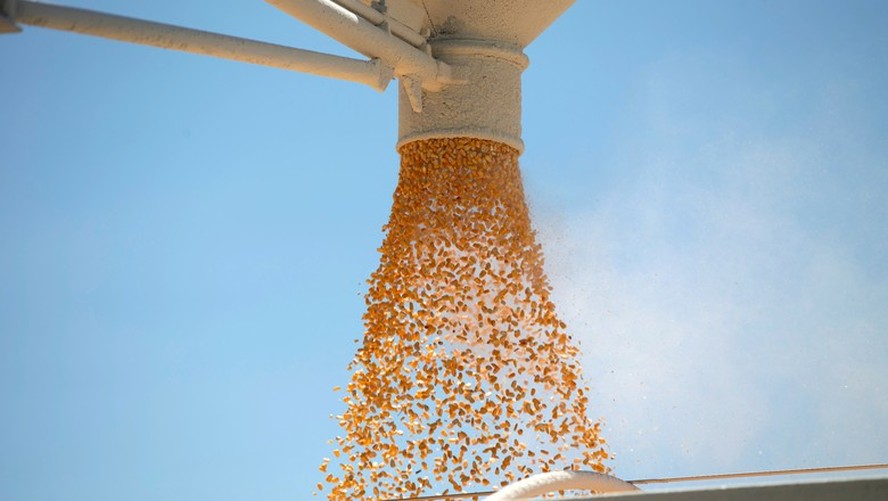 O milho dezembro fechou com avanço de 6,25 centavos, a 6,9775 dólares por bushel