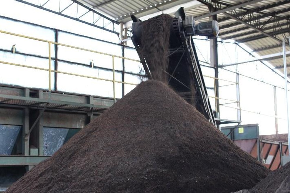O fertilizante composto de lodo ajuda, ainda, a melhorar a produtividade a longo prazo — Foto: Divulgação/Tera