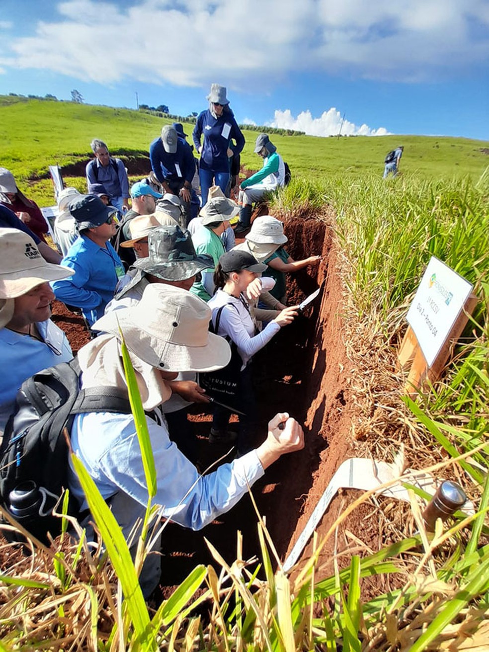 Análises de solos e clima, vegetação fluvial, geologia e processos erosivos — Foto: Francisco Mainardes