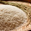 Produtores de arroz enfrentam custos de produção muito superiores ao preço recebido no mercado - Freepik