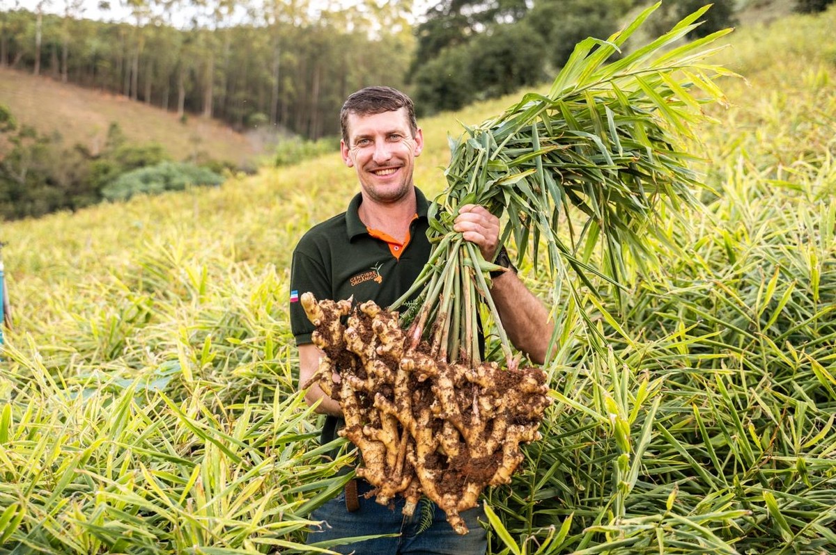Dia do Agricultor: conheça origem da data e histórias de produtores