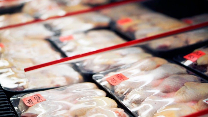 Doença de Newcastle: vendas de carnes de aves para a China devem sofrer ...