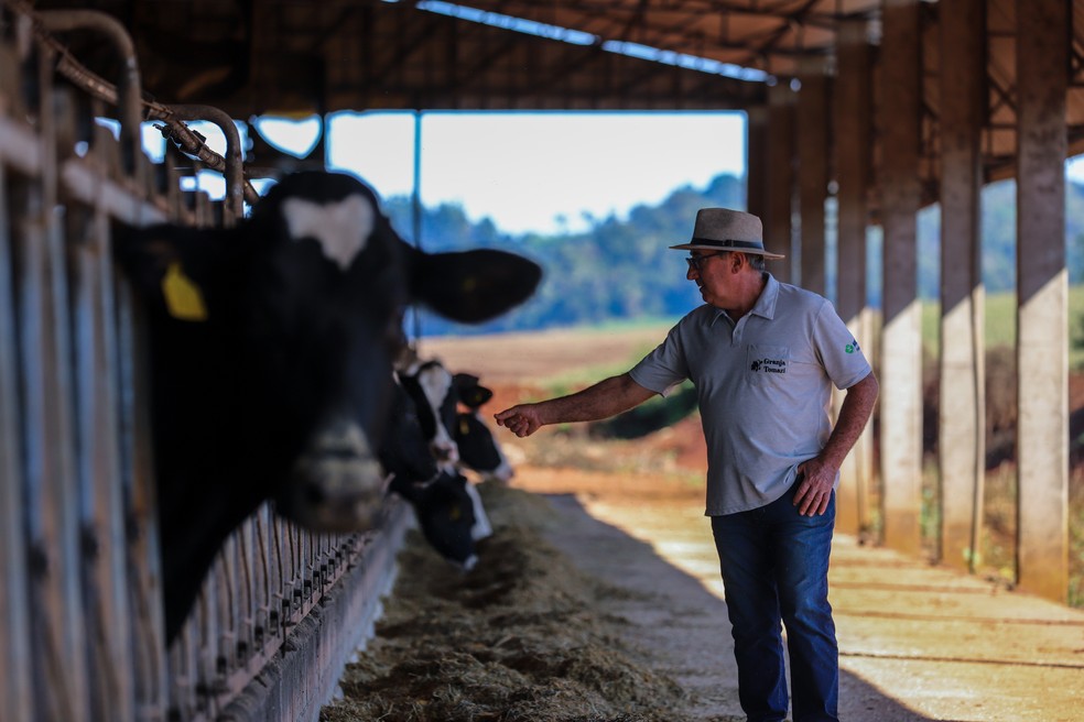 "Meus filhos me ajudaram a não desistir", conta o produtor Geraldo Tomazi — Foto: Theo Marques