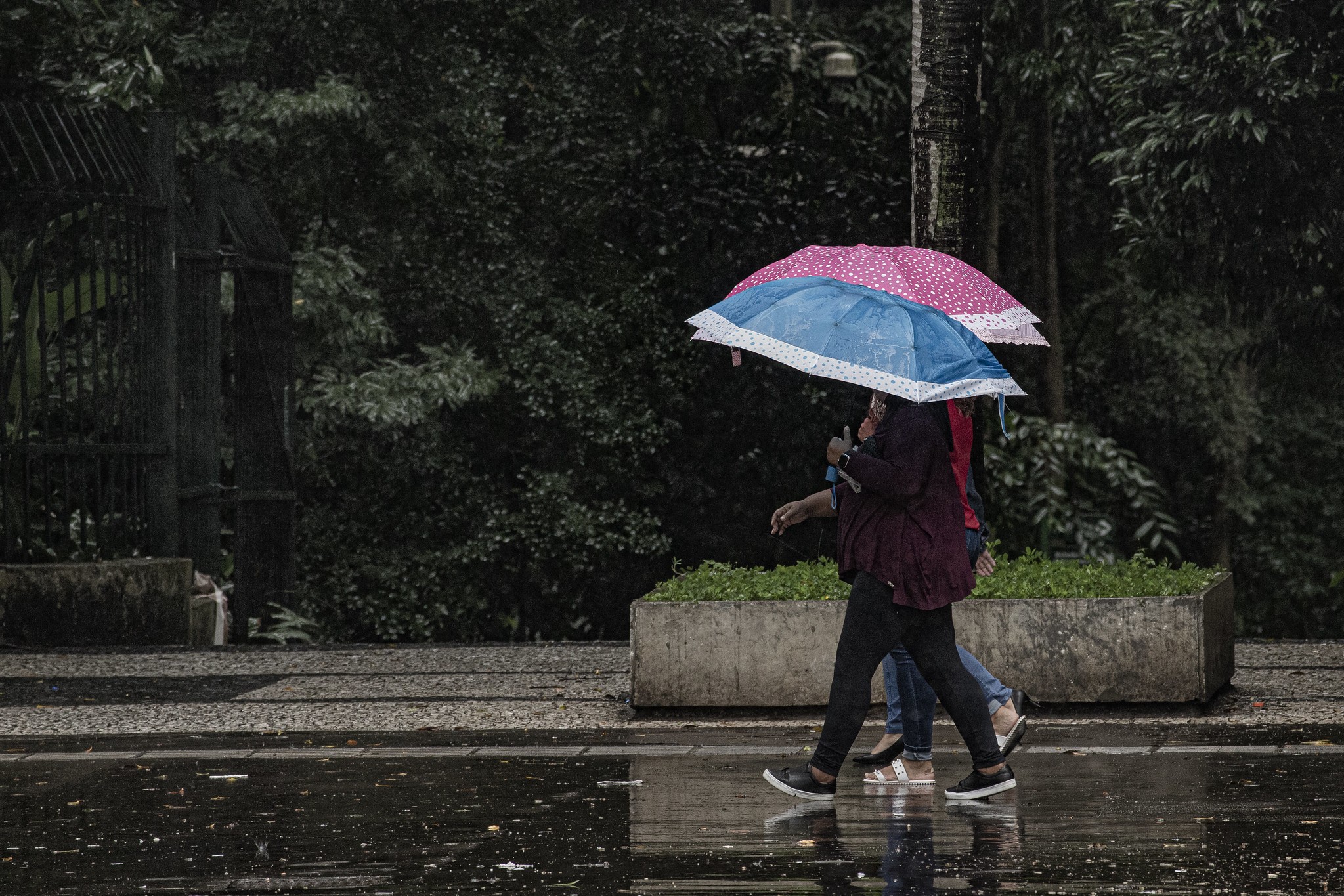 Até quando vai a chuva em São Paulo? Meteorologistas respondem