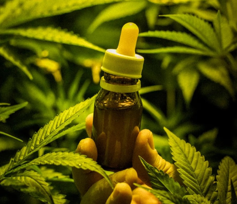 Famílias precisam de prescrição médica e habeas-corpus para plantar a cannabis na medida de suas necessidades ou compram em farmácia o produto importado, muitas vezes apelando à Justiça