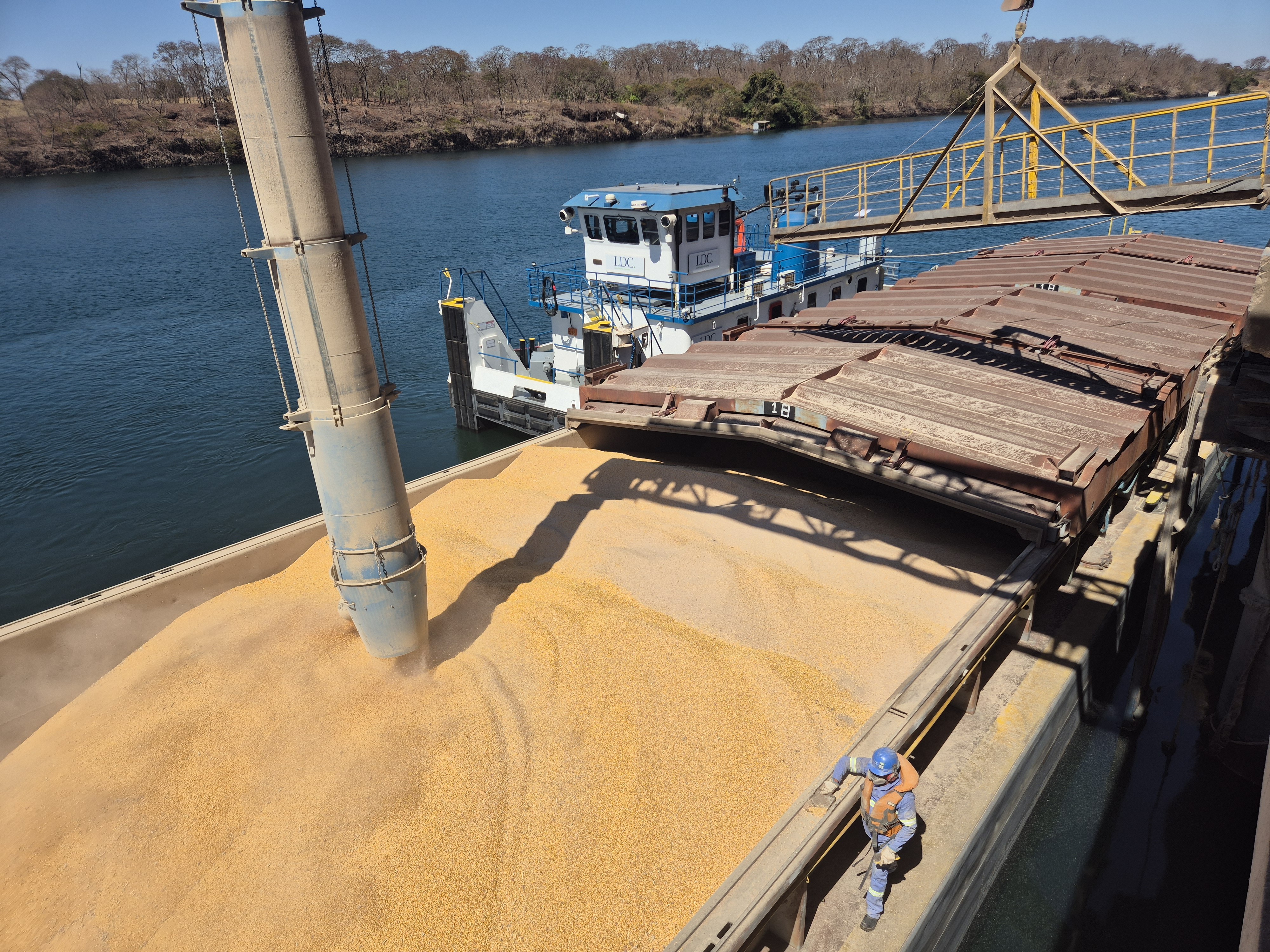 Exportações de milho do Brasil mais que dobram em abril com greves na Argentina