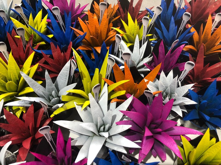 Suculentas coloridas na Expoflora; 400 produtores participam da edição de 2023