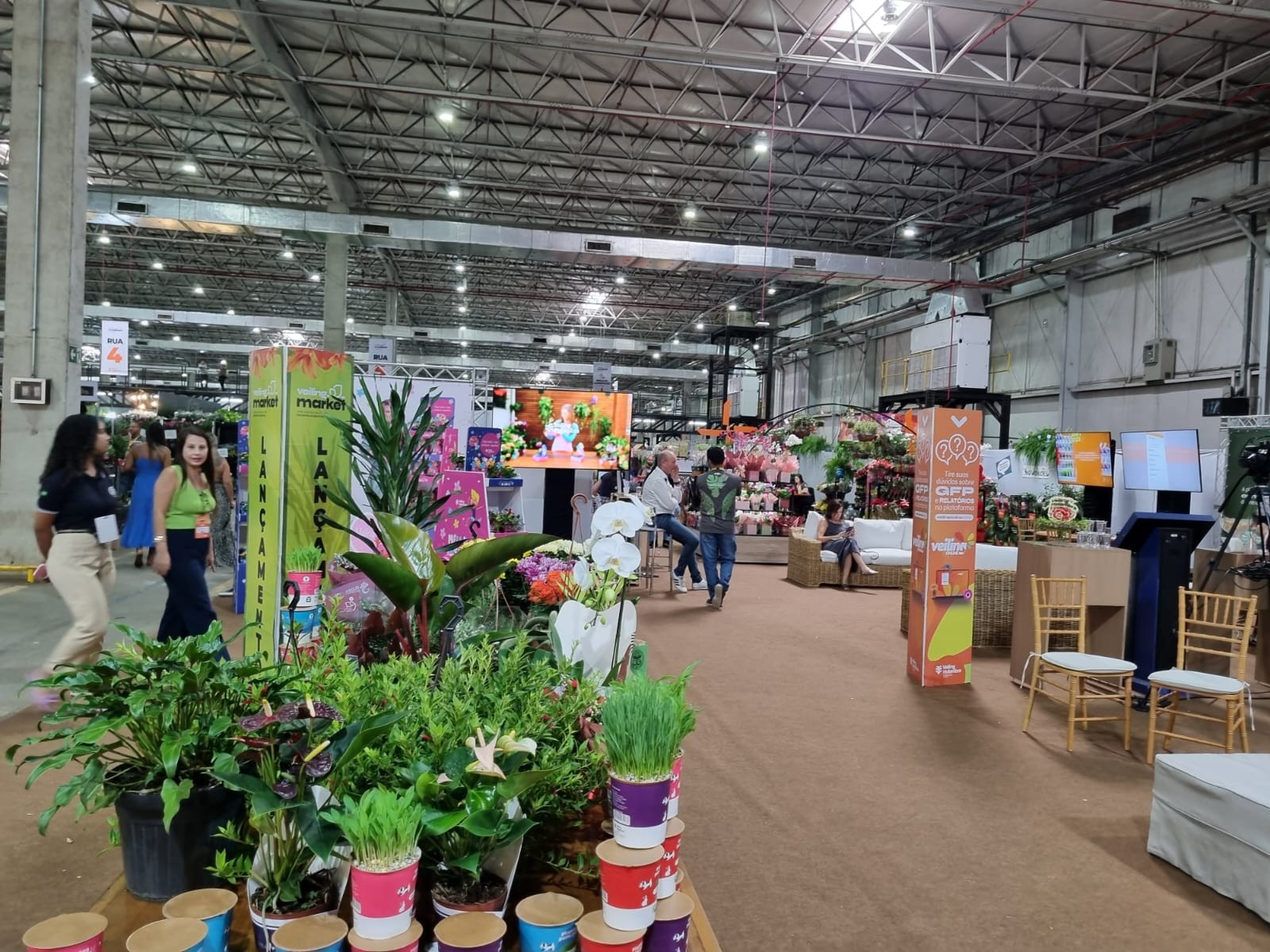 Maior feira de flores do Brasil deve movimentar R$ 100 milhões em Holambra (SP)