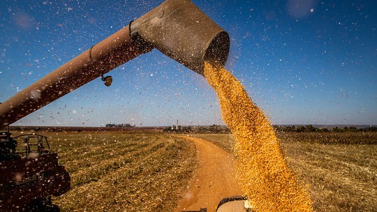 Safras & Mercado reduz projeção para a safra de milho 2023/24