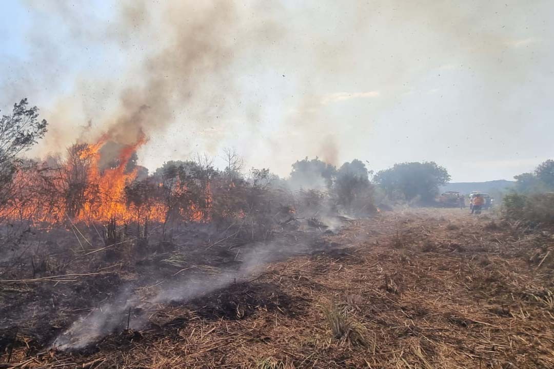 Saiba como prevenir incêndios florestais em propriedades rurais