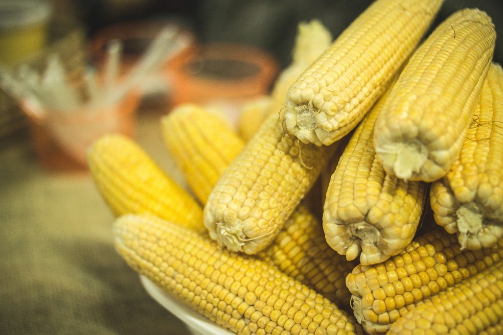 milho-festa junina — Foto: Pixabay