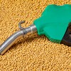 As exportações brasileiras da cadeia da soja e do biodiesel totalizaram 35,54 milhões de toneladas no terceiro trimestre de 2025, avanço de 11,78% em relação ao mesmo trimestre de 2024 - Getty Images