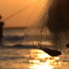 Piracema é essencial para a renovação dos estoques pesqueiros - Canva/Creative Commons