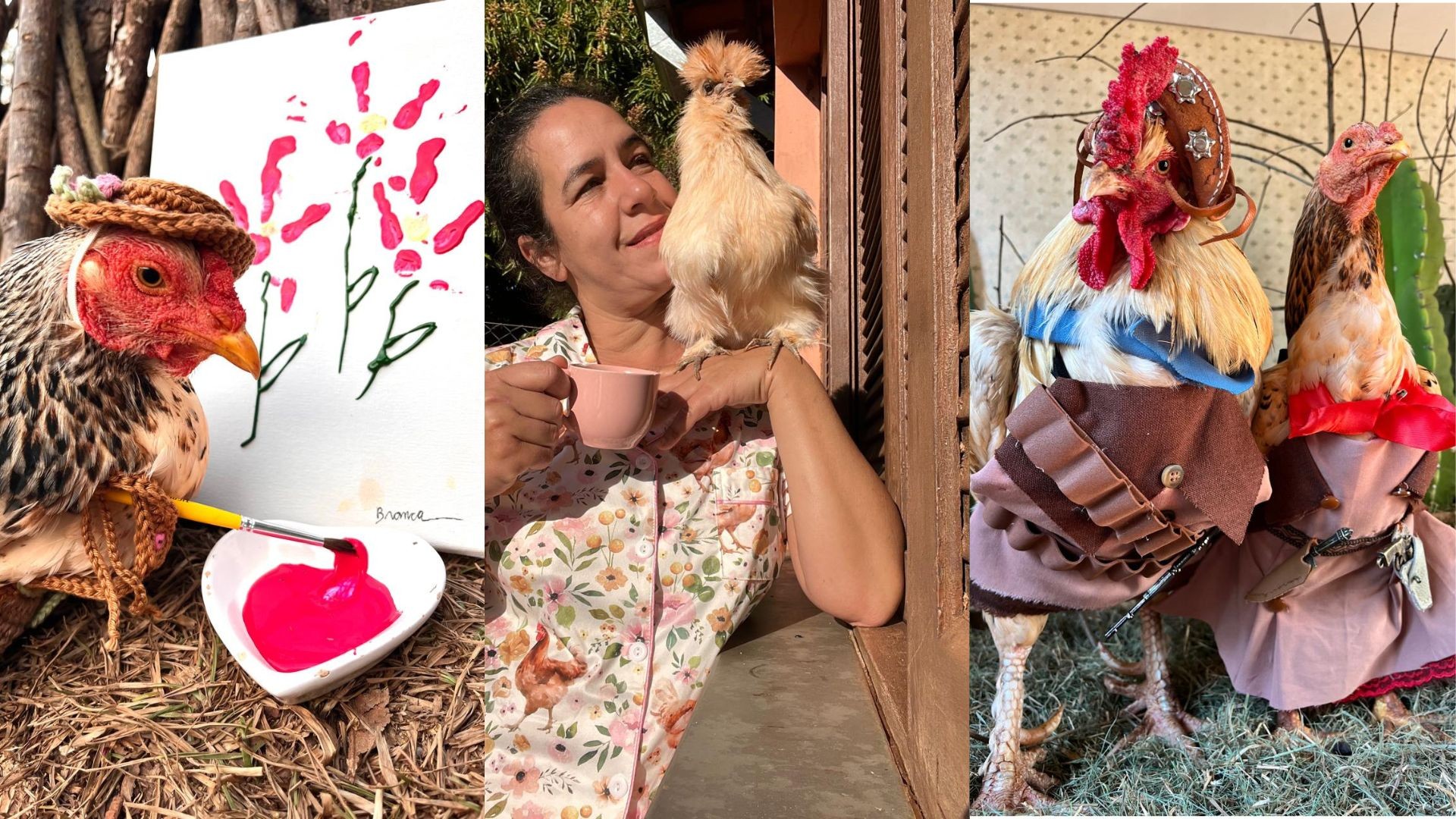 'A casa é delas': mulher cria 20 galinhas como pets e compartilha rotina 