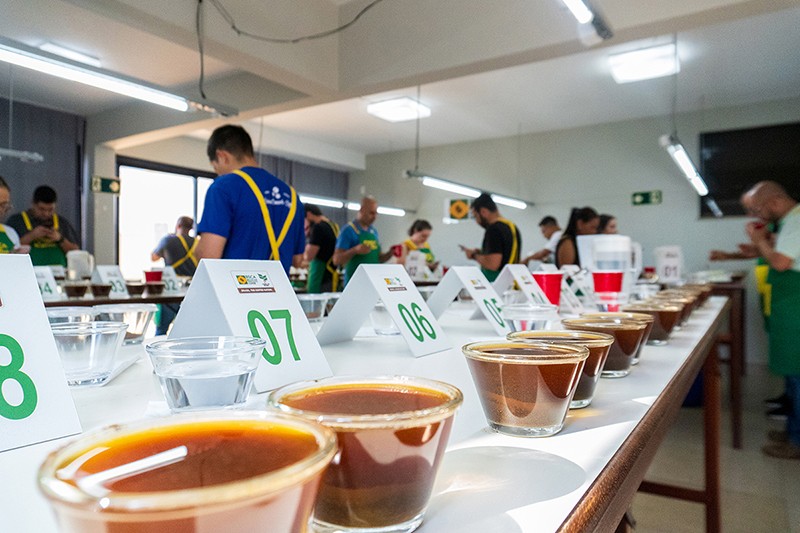 Curso forma avaliadores profissionais de café robusta