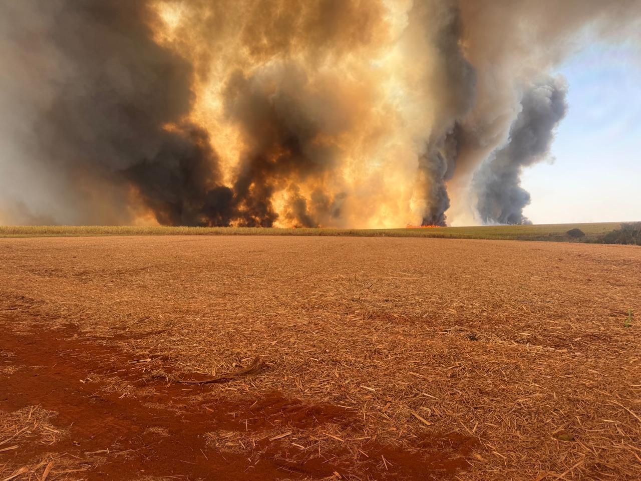 Vídeos mostram tamanho do incêndio que destruiu canaviais em SP