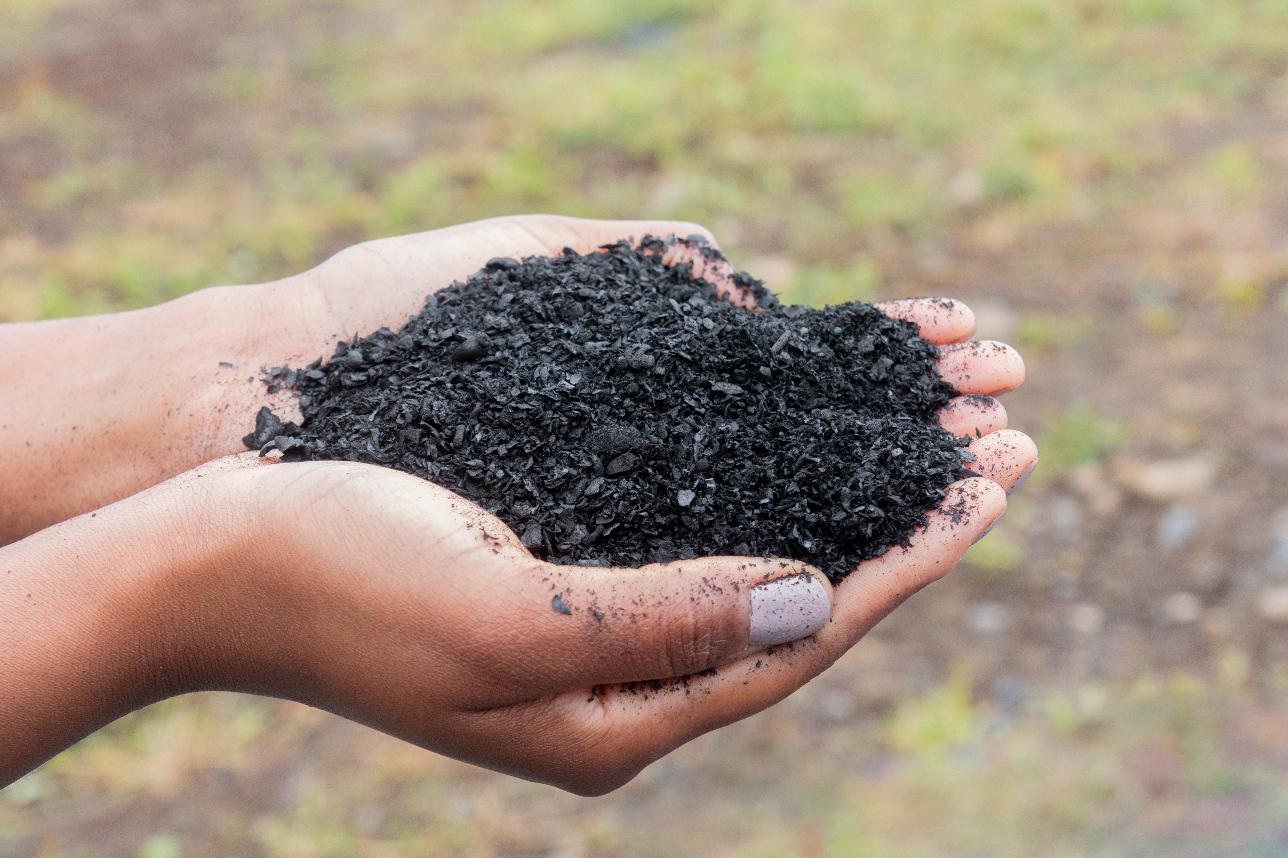 NetZero inaugura planta de biochar em Paraguaçu (MG) com investimento de R$ 25 milhões