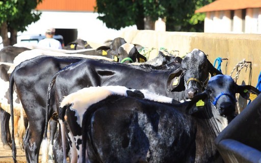 Produtor de leite terá acesso a soluções de inovação e gestão em feira em Minas Gerais