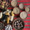 Nas chakras, diversos cultivos coexistem em áreas reduzidas - Canva/Creative Commons