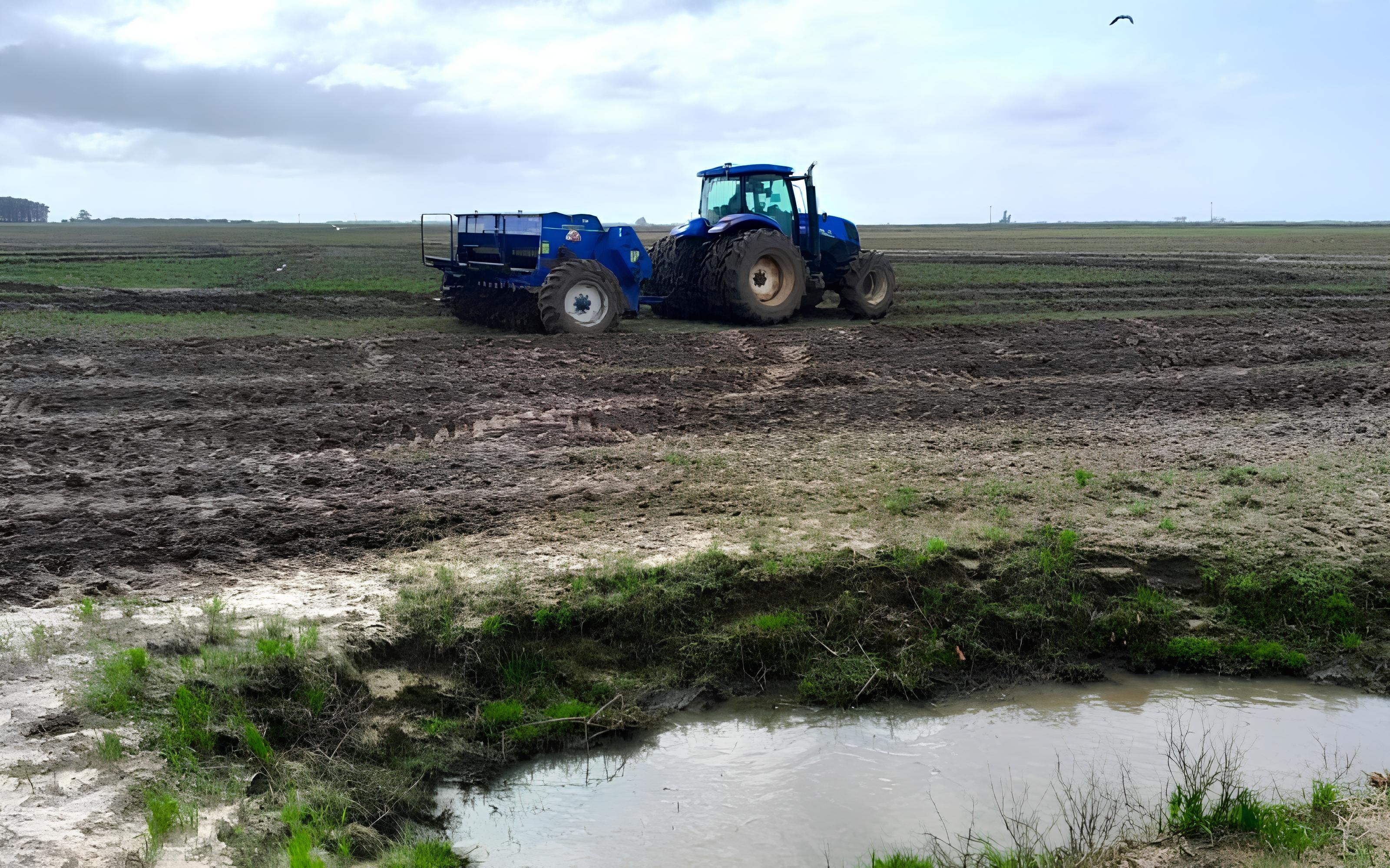Rotação com soja reduz emissões do cultivo do arroz pela metade
