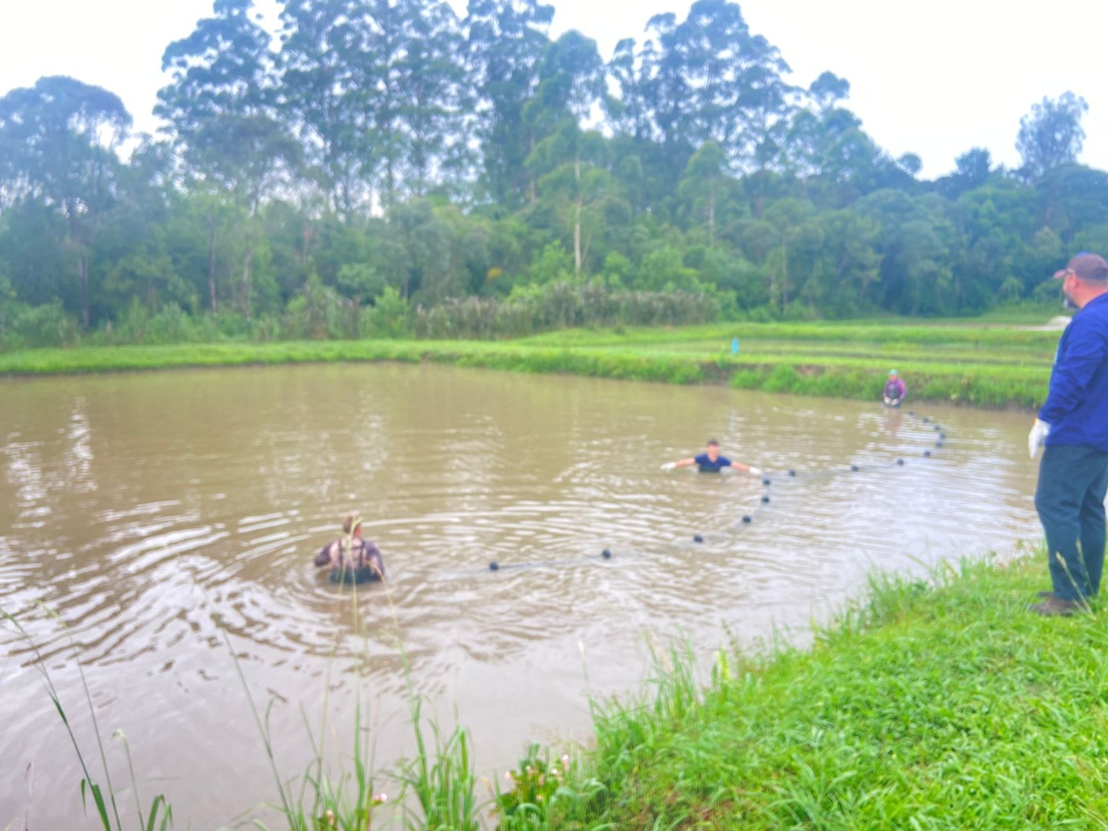 Escola pública do Paraná produz uma tonelada de tilápia em projeto pioneiro